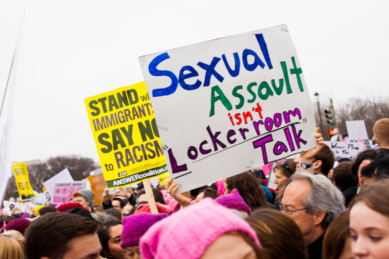 Illustration for article titled WOMEN'S MARCH ON WASHINGTON : THE SIGNS